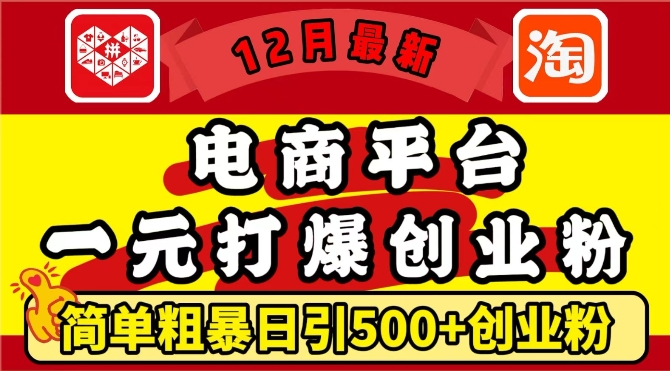 12月最新：电商平台1元打爆创业粉，简单粗暴日引500+精准创业粉-zeli芝士岛